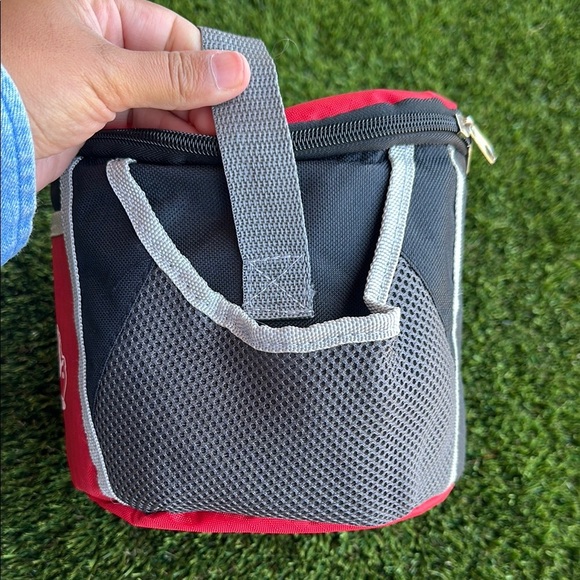 Raising Canes mini cooler lunch box lunch carrier insulated lining - Picture 5 of 7